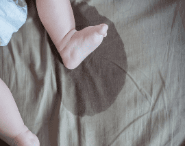 l'enfant a mouillé le tapis 