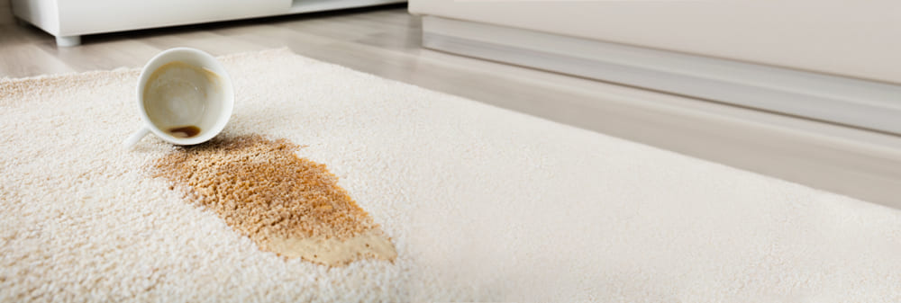 nettoyage de taches de café sur le tapis